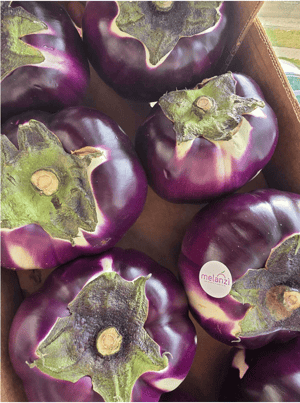 Scherm­afbeelding 2026-02-13 om 13.14.53