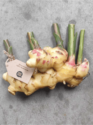 Scherm­afbeelding 2026-02-13 om 13.22.11