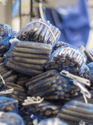 Scherm­afbeelding 2026-02-13 om 16.15.16